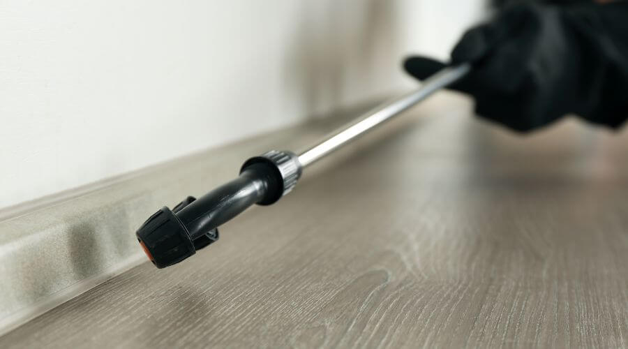 Professional pest control services services in Oregon